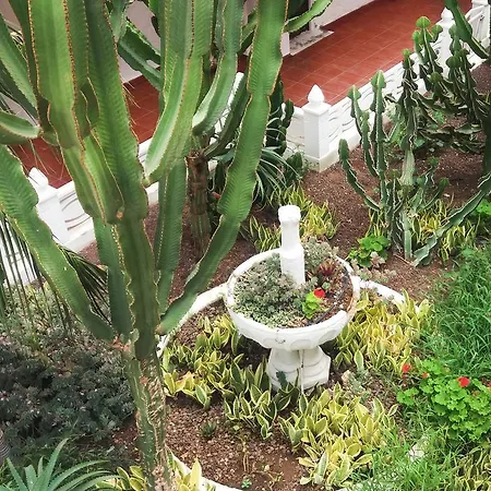شقة Relax طوستا ديل سيلونثيو